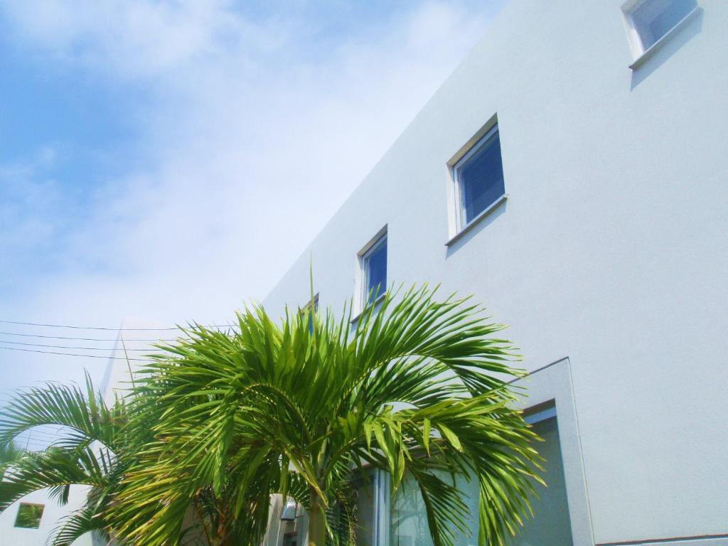 Aparthotel The Green Terrace Miyakojima  Exteriér fotografie